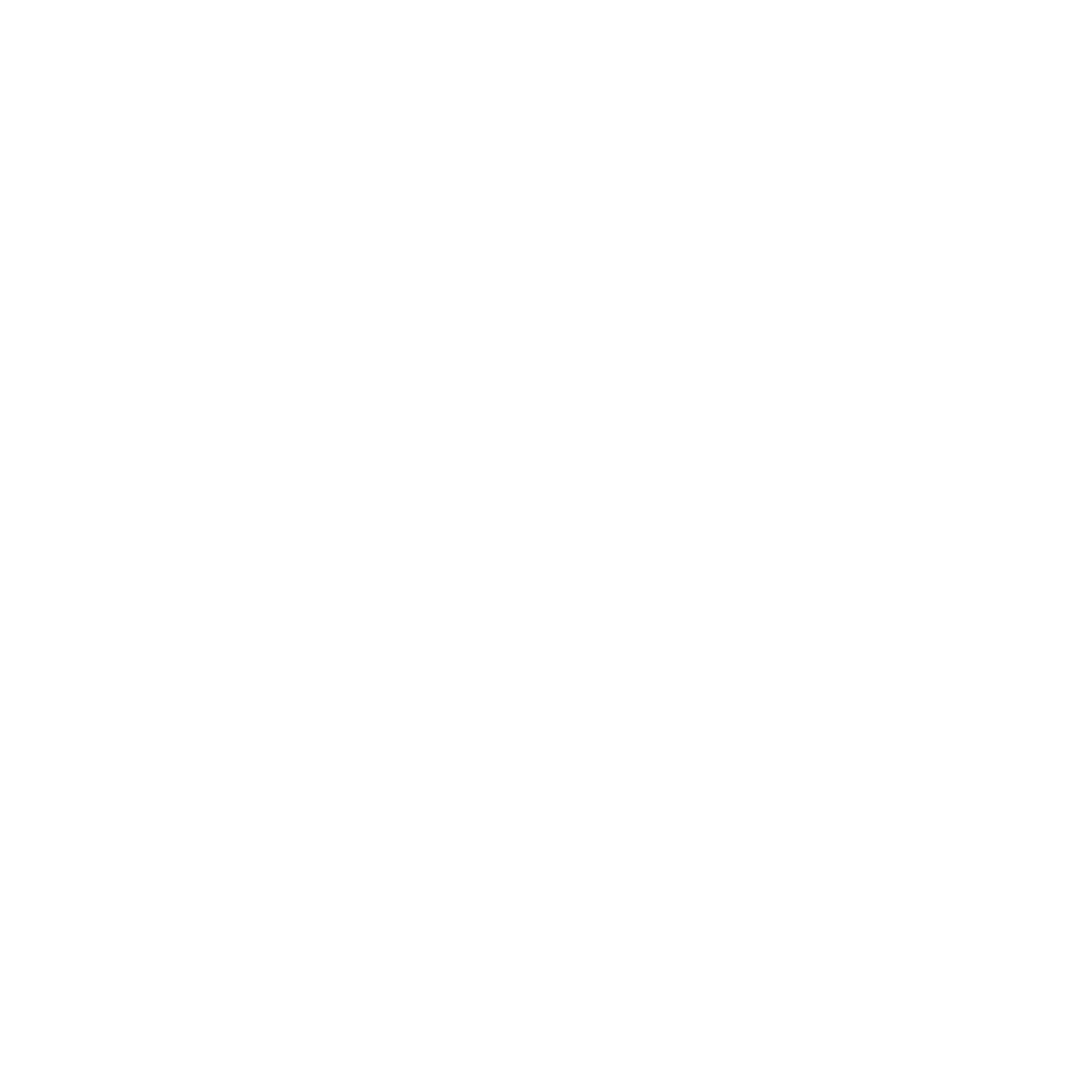 logo-CFI-white